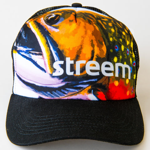 Brook Trucker Hat