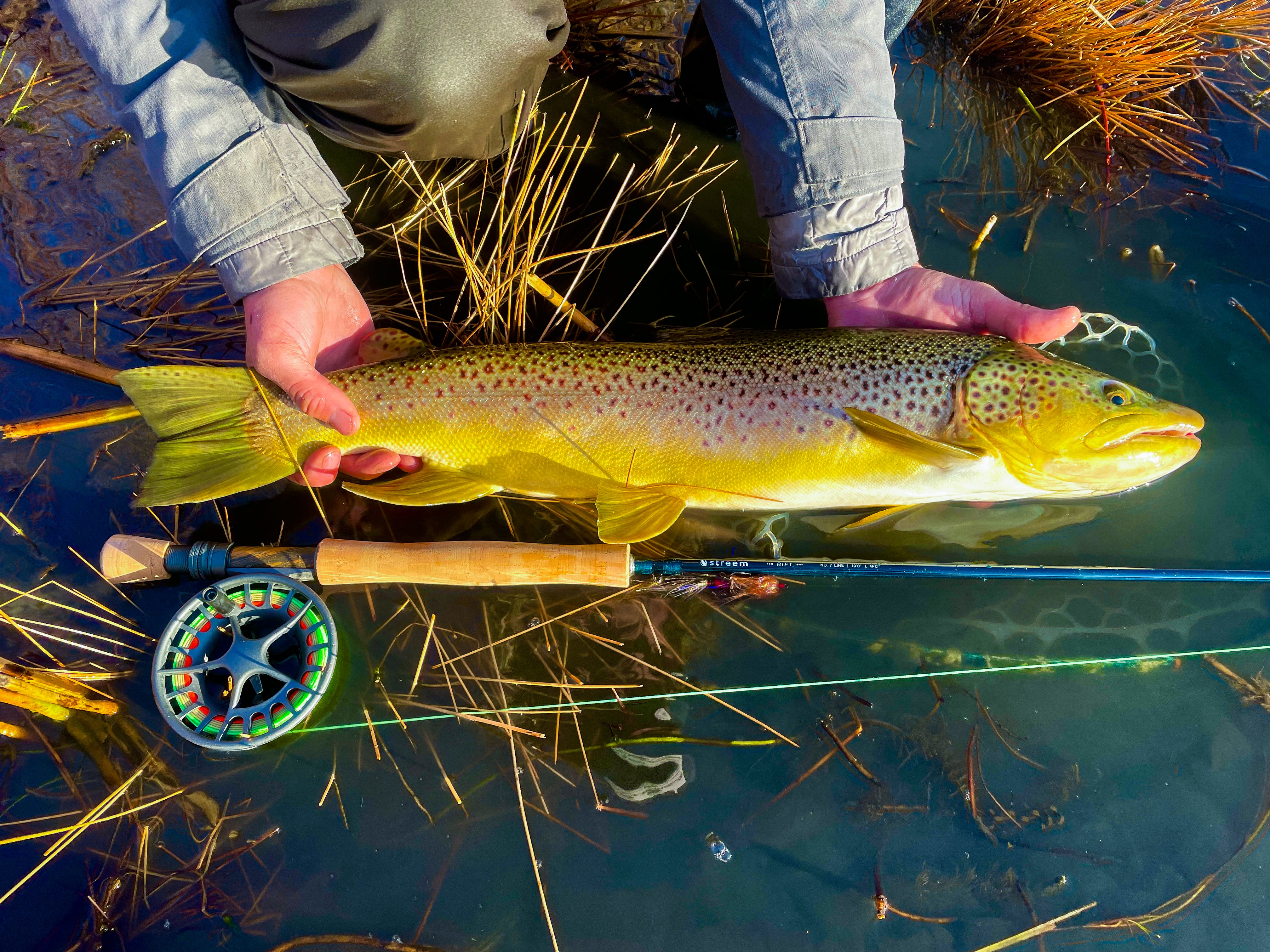 Lake Trout Brook Trout Fly Rod 5wt Fly Rod STREEM Outdoors Brook