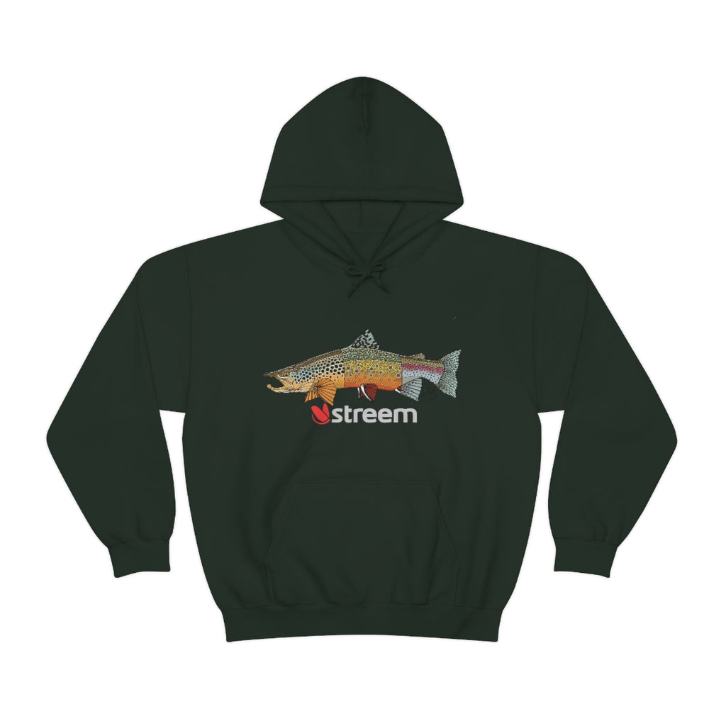 Fish Trout Mountains Hoodie, Fishing Sweatshirt, Fish Hoodie